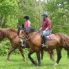 (065)Rando Combrit 2015