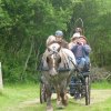 (065)Rando Combrit 2015