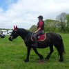 (065)Rando Combrit 2015