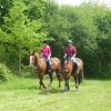 (065)Rando Combrit 2015