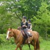 (065)Rando Combrit 2015