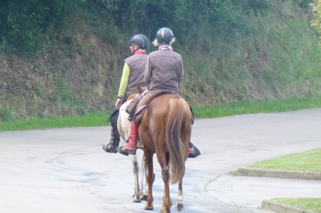 (066)Finistours juillet 2015