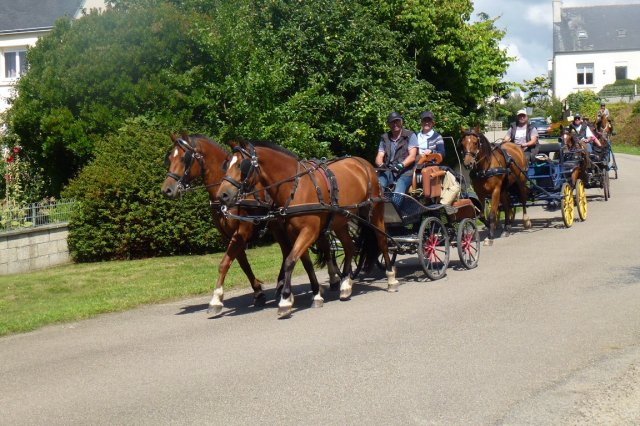 (066)Finistours juillet 2015
