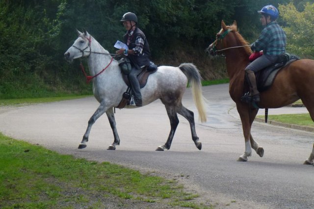 (066)Finistours juillet 2015