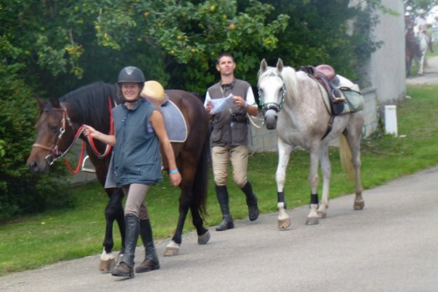 (066)Finistours juillet 2015