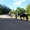 (066)Finistours juillet 2015