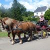 (066)Finistours juillet 2015