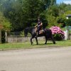 (066)Finistours juillet 2015