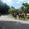 (066)Finistours juillet 2015