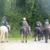 (066)Finistours juillet 2015