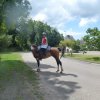 (066)Finistours juillet 2015