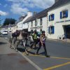 (066)Finistours juillet 2015