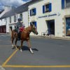 (066)Finistours juillet 2015