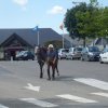 (066)Finistours juillet 2015