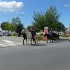 (066)Finistours juillet 2015