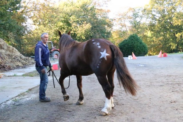 (067) Concours Indoor à Penfrat le 31 octobre 2015