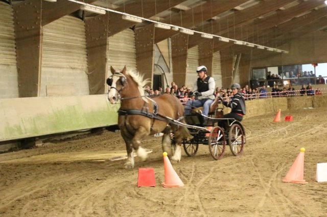 (067) Concours Indoor à Penfrat le 31 octobre 2015