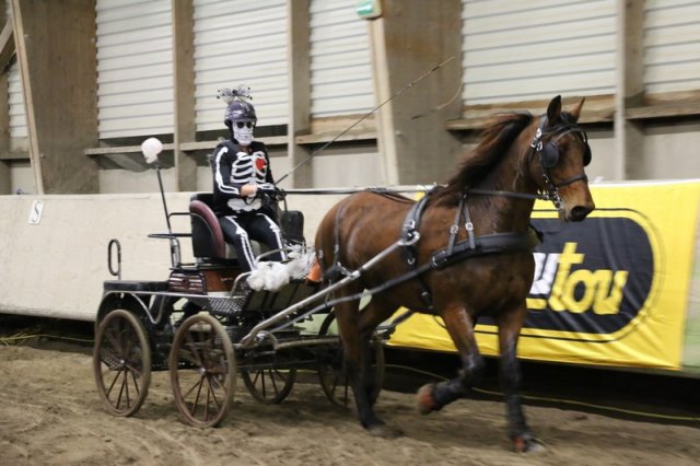 (067) Concours Indoor à Penfrat le 31 octobre 2015