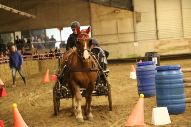 (067) Concours Indoor à Penfrat le 31 octobre 2015