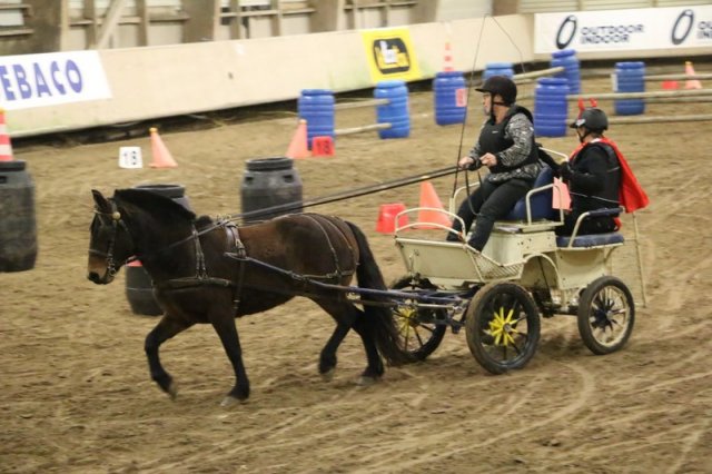 (067) Concours Indoor à Penfrat le 31 octobre 2015