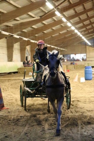 (067) Concours Indoor à Penfrat le 31 octobre 2015