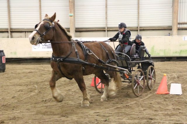 (067) Concours Indoor à Penfrat le 31 octobre 2015
