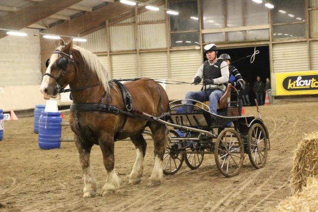 (067) Concours Indoor à Penfrat le 31 octobre 2015