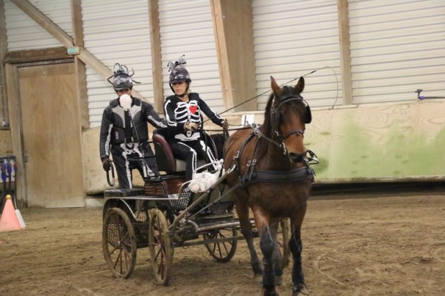 (067) Concours Indoor à Penfrat le 31 octobre 2015