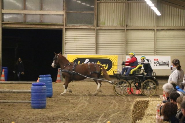 (067) Concours Indoor à Penfrat le 31 octobre 2015