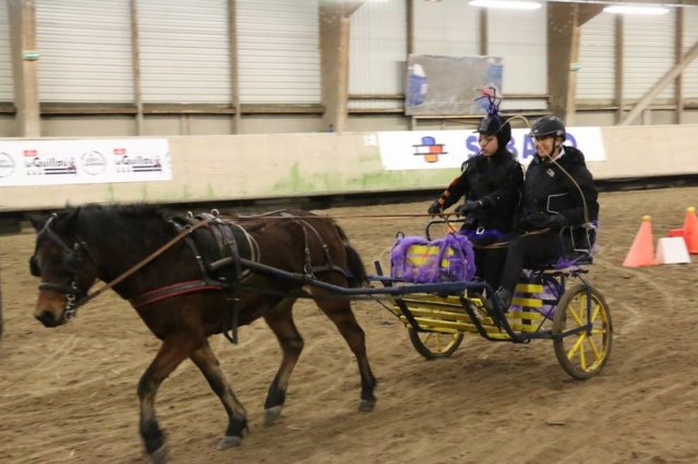 (067) Concours Indoor à Penfrat le 31 octobre 2015