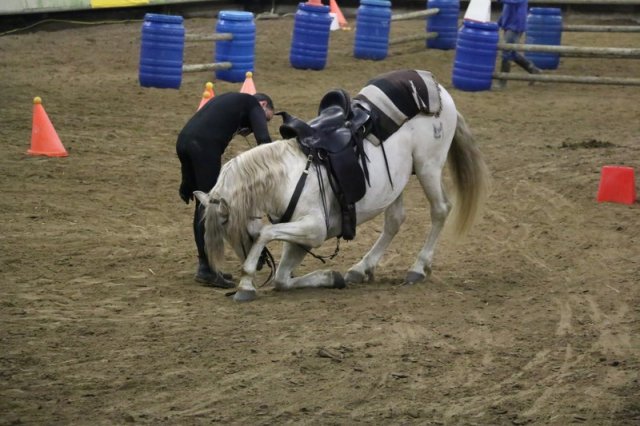 (067) Concours Indoor à Penfrat le 31 octobre 2015
