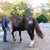 (067) Concours Indoor à Penfrat le 31 octobre 2015