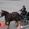 (067) Concours Indoor à Penfrat le 31 octobre 2015