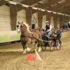 (067) Concours Indoor à Penfrat le 31 octobre 2015