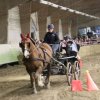 (067) Concours Indoor à Penfrat le 31 octobre 2015
