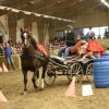 (067) Concours Indoor à Penfrat le 31 octobre 2015