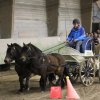 (067) Concours Indoor à Penfrat le 31 octobre 2015
