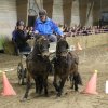 (067) Concours Indoor à Penfrat le 31 octobre 2015