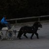 (067) Concours Indoor à Penfrat le 31 octobre 2015