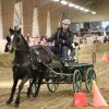 (067) Concours Indoor à Penfrat le 31 octobre 2015