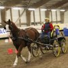 (067) Concours Indoor à Penfrat le 31 octobre 2015