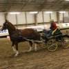 (067) Concours Indoor à Penfrat le 31 octobre 2015