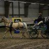 (067) Concours Indoor à Penfrat le 31 octobre 2015