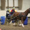 (067) Concours Indoor à Penfrat le 31 octobre 2015