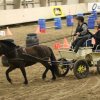 (067) Concours Indoor à Penfrat le 31 octobre 2015