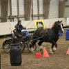 (067) Concours Indoor à Penfrat le 31 octobre 2015