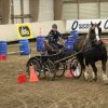 (067) Concours Indoor à Penfrat le 31 octobre 2015