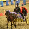 (067) Concours Indoor à Penfrat le 31 octobre 2015