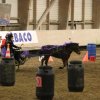 (067) Concours Indoor à Penfrat le 31 octobre 2015