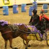(067) Concours Indoor à Penfrat le 31 octobre 2015